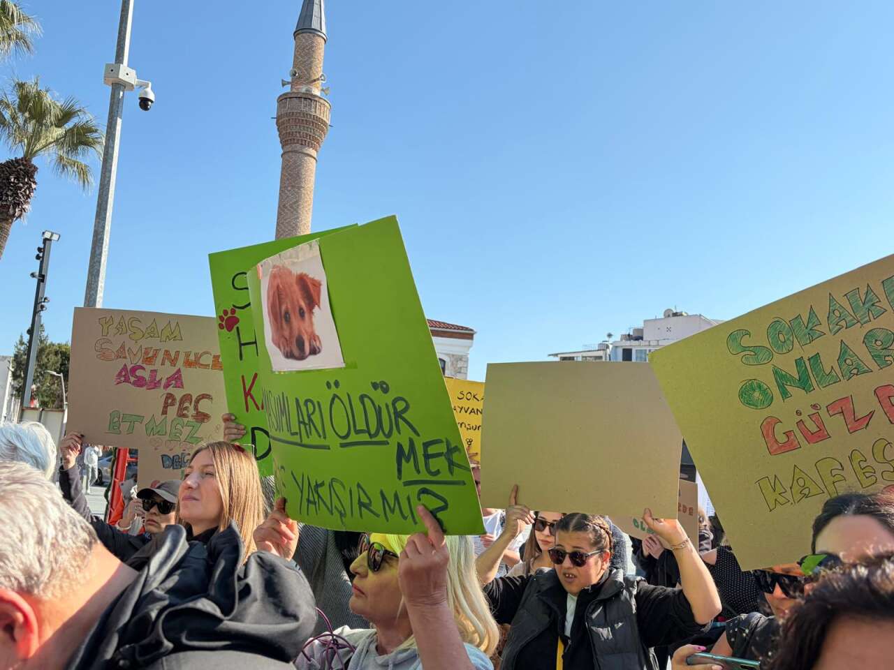 Muğla’da Hayvan Hakları Tepkisi: “Sessiz Canların Sesi Oluyoruz” 4